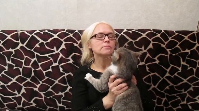Анекдоты от Анечки Разговор с котом смотреть онлайн