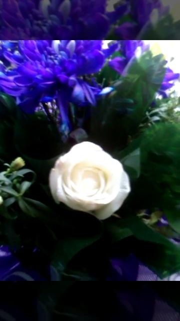 РОЗЫ ДЛЯ ЛЬВОВ смотреть онлайн