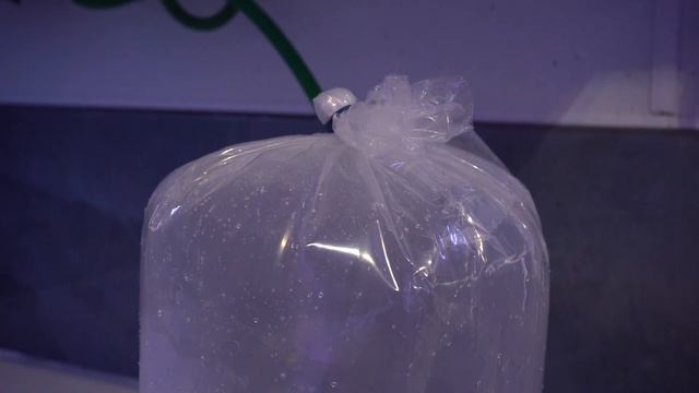 My NEW PET EXOTIC OCTOPUS!! (Amazing) смотреть онлайн