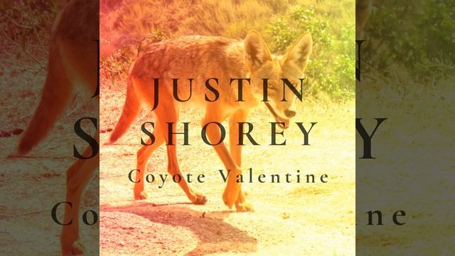 Coyote Valentine смотреть онлайн