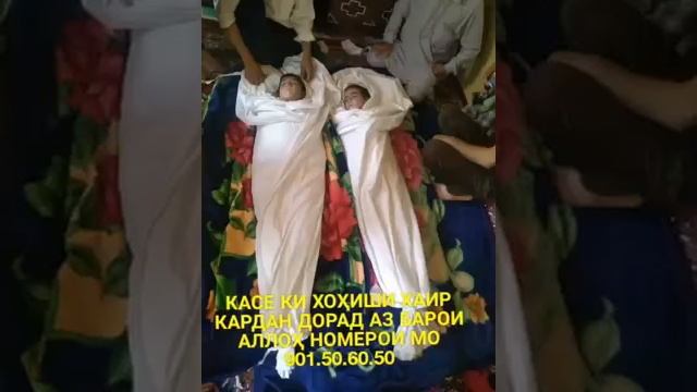 Бродаро ами ду гулакро тмошо кнен акву додар дар як соат смотреть онлайн