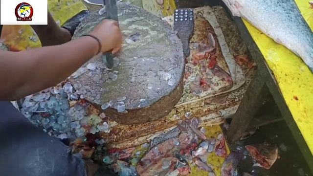 #fishcuttingIndore#fishcuttingskills#fishcutting / carp fish(katla) cutting in Indore fish market смотреть онлайн