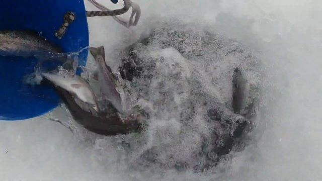 25 февраля 2023 г. смотреть онлайн