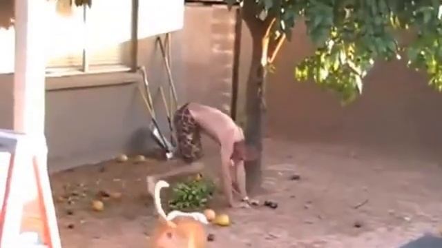 Неудачный прыжок смотреть онлайн