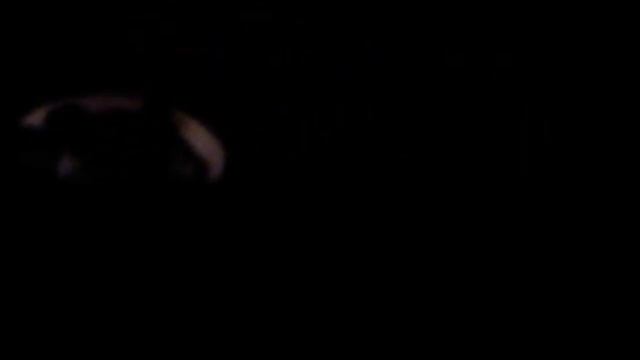 Longjia Exactly (Yarox) - Audio Skuter ! смотреть онлайн