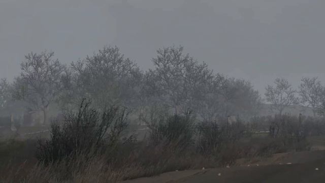 Dramatic footage shows Russian T-90M main tank, DESTROYED by Ukrainian LEOPARD 2A6M | In Avdiivka смотреть онлайн