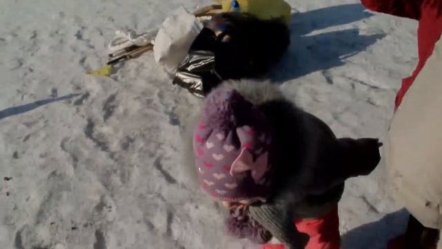 Посмотри я утка. Кря-кря-кря-кря. смотреть онлайн