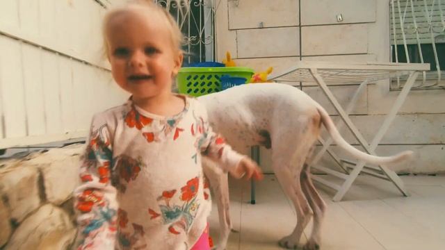 Mijia action cam on osmo mobile with adapter смотреть онлайн