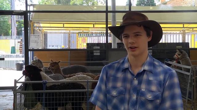 2013 Royal Melbourne Show - Day Six смотреть онлайн