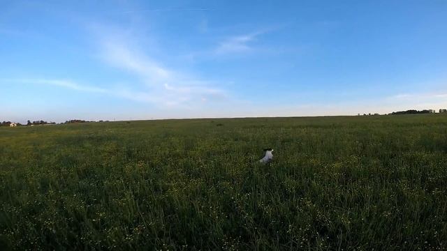 коростель4 смотреть онлайн