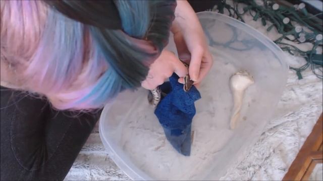 How To Help a Dehydrated Snake Shed смотреть онлайн