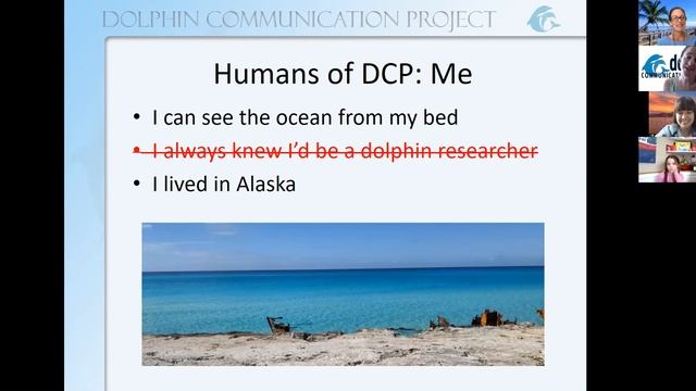 DCP Dolphin Lesson: Two Truths & A Lie смотреть онлайн