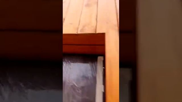 24 ноября 2020 г. смотреть онлайн