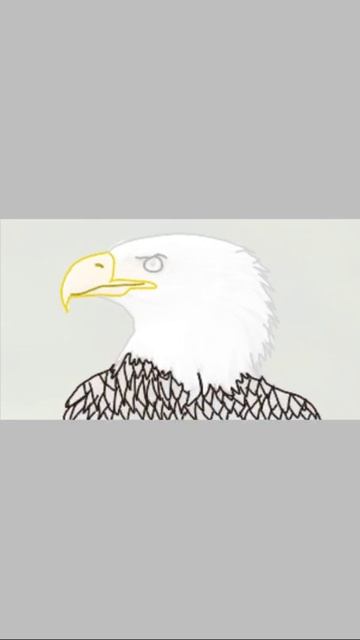 BALD EAGLE DRAWING смотреть онлайн
