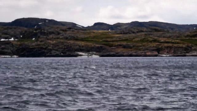 Минке в Баренцевом море смотреть онлайн