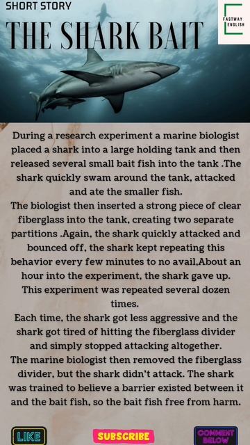Short Story"The Shark Bait"|Learn English through short stories🔥#shortstory#fastwayenglishlearning смотреть онлайн