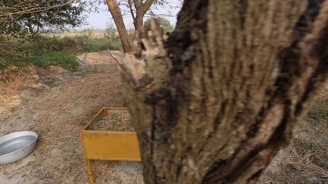 новое не понятное смотреть онлайн