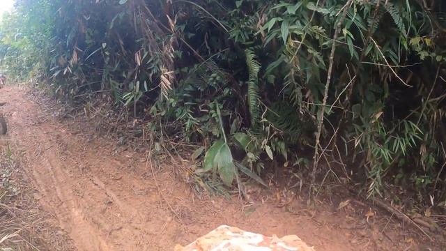 7° PIRÃO NA LAMA смотреть онлайн