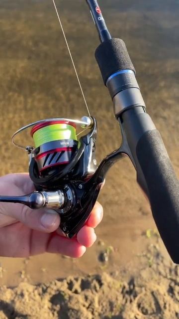 #fishing #spining #ultralightfishing #dam #microflex #daiwa #ninja смотреть онлайн
