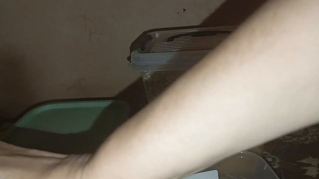 ДРУЗЬЯ ОБЗОР КОНТЕЙНЕРОВ ДЛЯ СЫПУЧИХ ПРОДУКТОВ смотреть онлайн