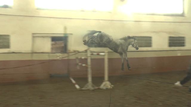 Серая. Воля. 150. 26.04.2018 смотреть онлайн