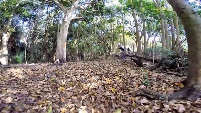 Short version Markham 100 Removu S1 Gopro смотреть онлайн