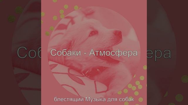 Звуки (Одинокие собаки) смотреть онлайн