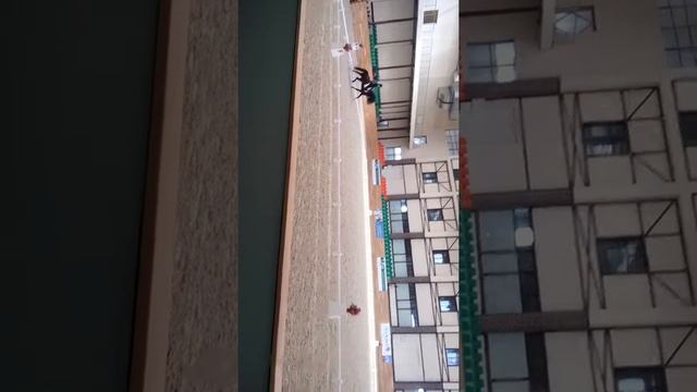 Соревнования в Maxima Stable смотреть онлайн