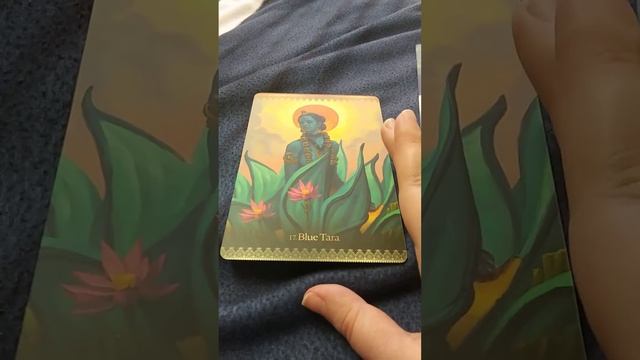 Goddess Compare and Contrast; Blue Tara, Hindu Goddess of Protection смотреть онлайн