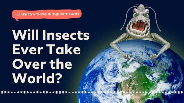 Will Insects Ever Take Over the World? | I Learned a Thing in the Bathroom Podcast смотреть онлайн