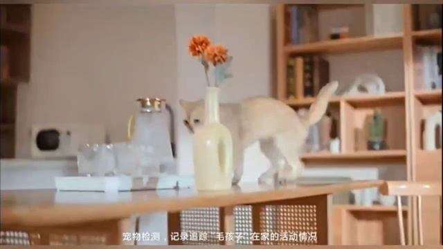 Обзор IP-камеры Xiaomi Smart Dual Camera C500 (MBC12) смотреть онлайн