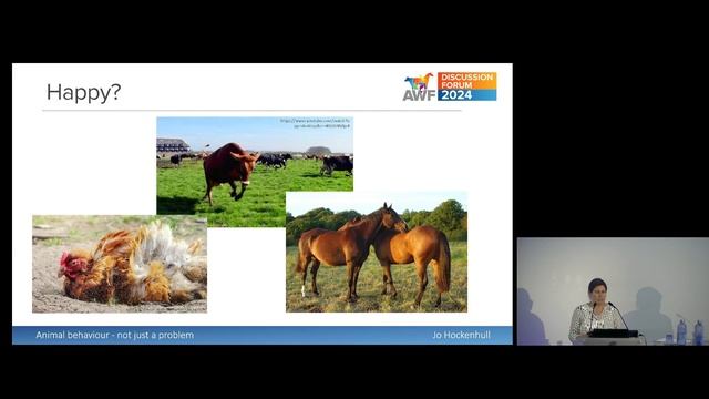 Discussion Forum 2024: Animal behaviour: not just a problem смотреть онлайн