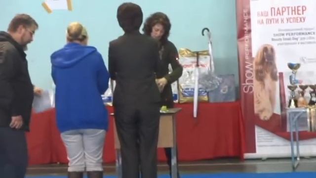 той натель сириус юниор смотреть онлайн