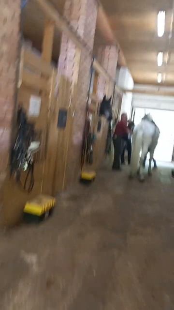 Лошадиная ферма: Лосиный Остров. смотреть онлайн