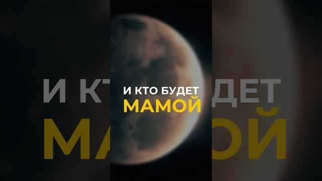 Будет ли долгим этот союз?