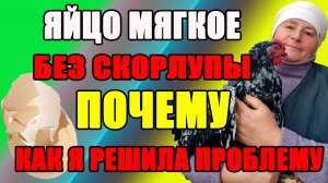 Куры несут мягкие яйца, БЕЗ СКОРЛУПЫ. Как я РЕШИЛА эту проблему.