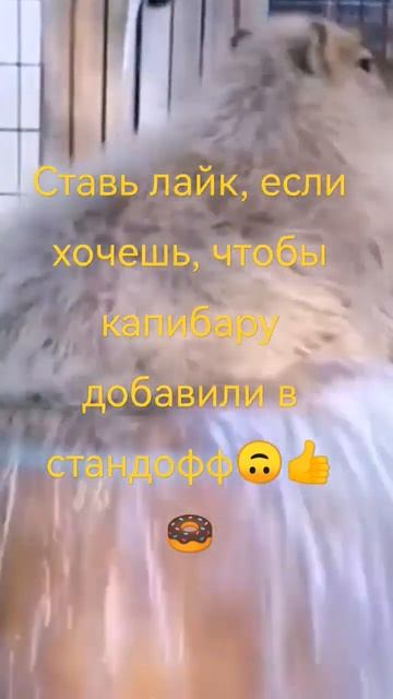 ставь лайк #сулялох #стандофф #sandstone #standoff2 #shorts #рекомендации #капибары смотреть онлайн