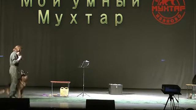Энциклопедия дрессировки. Часть 6. Апорт смотреть онлайн