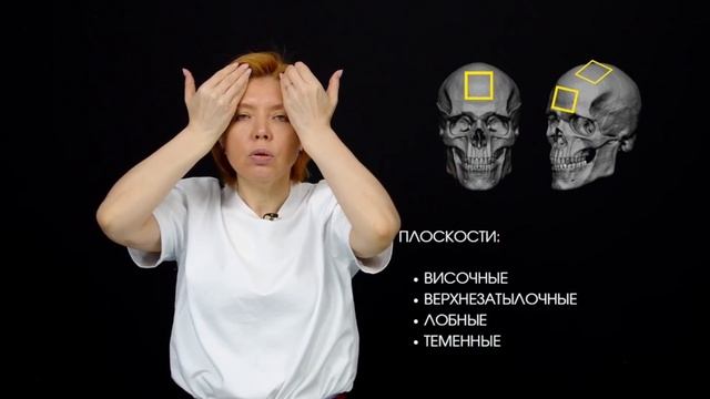ОНЛАЙН-УРОК «ПЛОСКОСТИ ЧЕРЕПА» смотреть онлайн