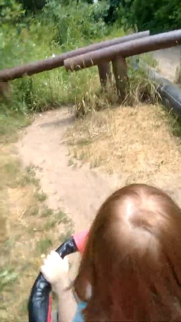 красивый кот на даче смотреть онлайн