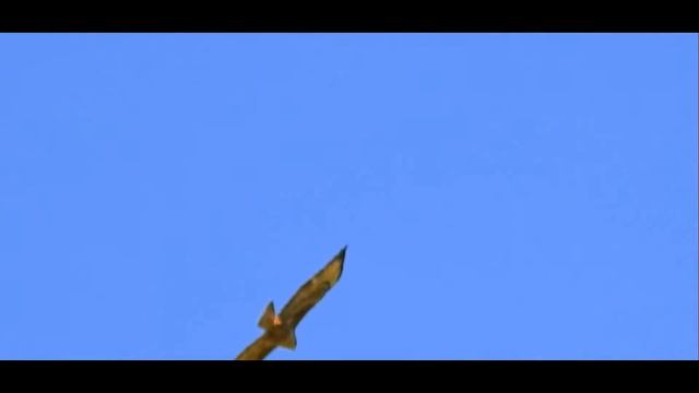 Этим жарким днём... смотреть онлайн
