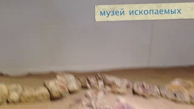 "Австралия 2013" 9-10 день смотреть онлайн