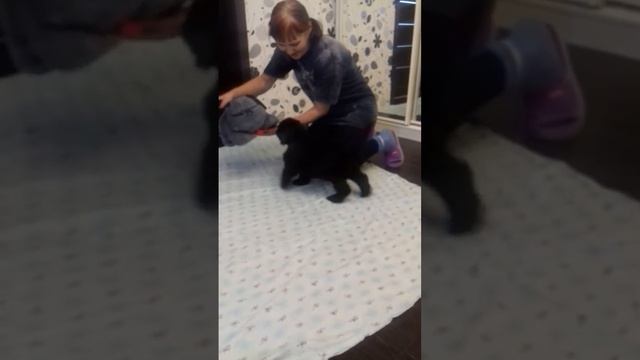 20170131 133236 смотреть онлайн