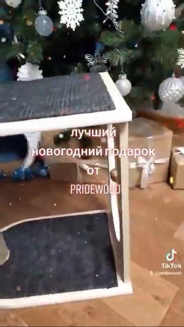 Когтеточка NEW ! смотреть онлайн