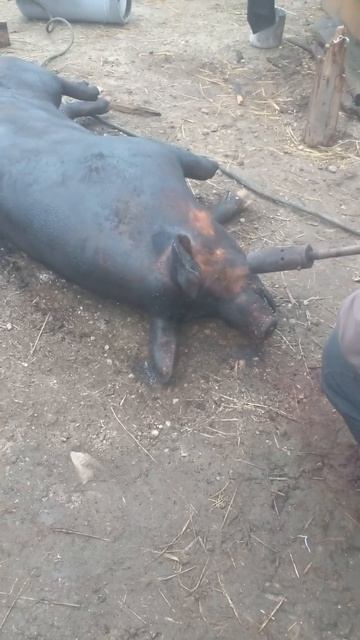 сало вы духовке смотреть онлайн