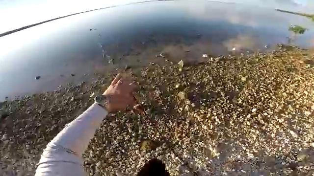 low tied fishing смотреть онлайн