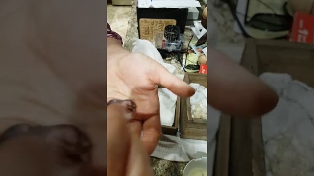 Feeding Baby Mice June 2018 смотреть онлайн