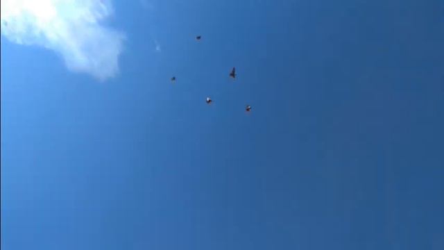 Артамоны молодежь в полете смотреть онлайн