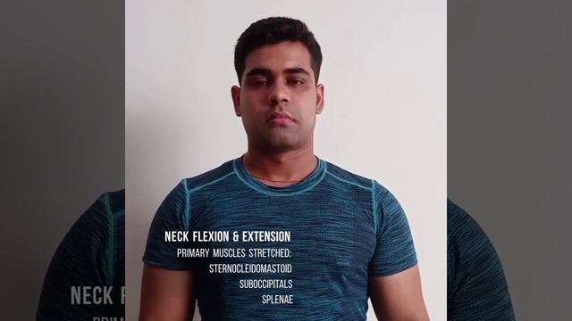 How To Perform Neck Flexion & Extension | Static Flexibility Exercise | Stretching & Home Workout