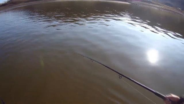 тотальное верхоглядство смотреть онлайн